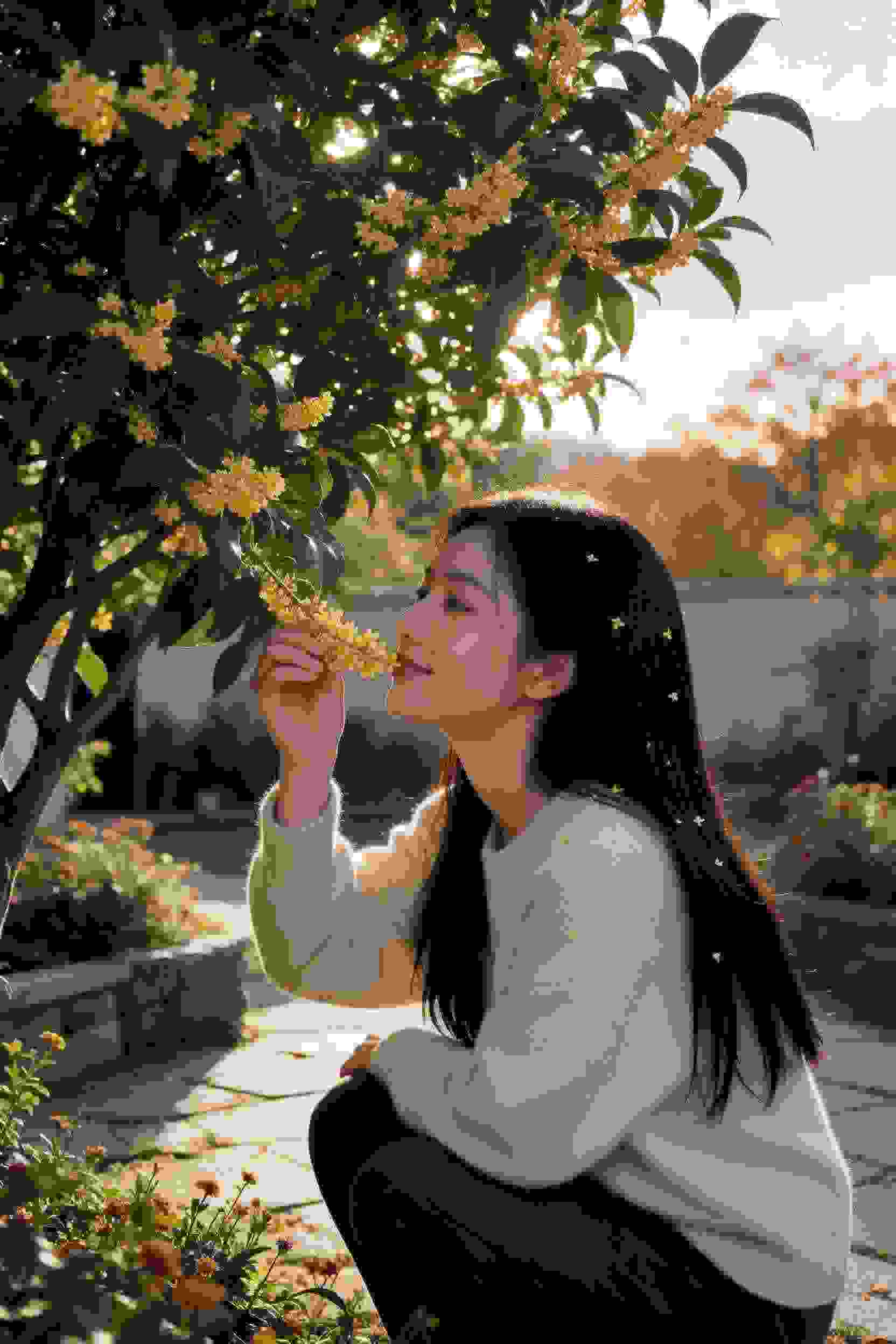 权力游戏